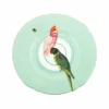 Yvonne Ellen Assiettes Plates Assiette En Porcelaine Perroquet D24cm