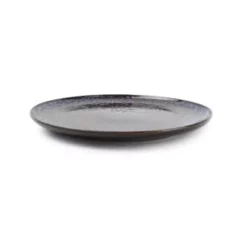 Assiettes Soldes Magasin -Assiettes Soldes Magasin assiette plate 20cm bleu fonce lot de 4 1