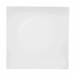 Medard De Noblat Assiettes Plates Assiette Plate Grand Modèle En Porcelaine De Limoges Blanc