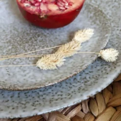 Novastyl Lot De 6 Assiettes Plates En Grès 27cm -Assiettes Soldes Magasin lot de 6 assiettes plates en gres 27cm 2